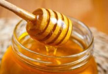 ما الأمراض التي يعالجها العسل النحل؟