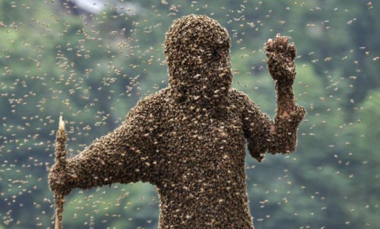 النحل يغطي جسم شخص بالكامل